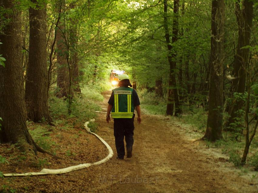 Waldbrand Bergisch Gladbach Bensberg P194.JPG